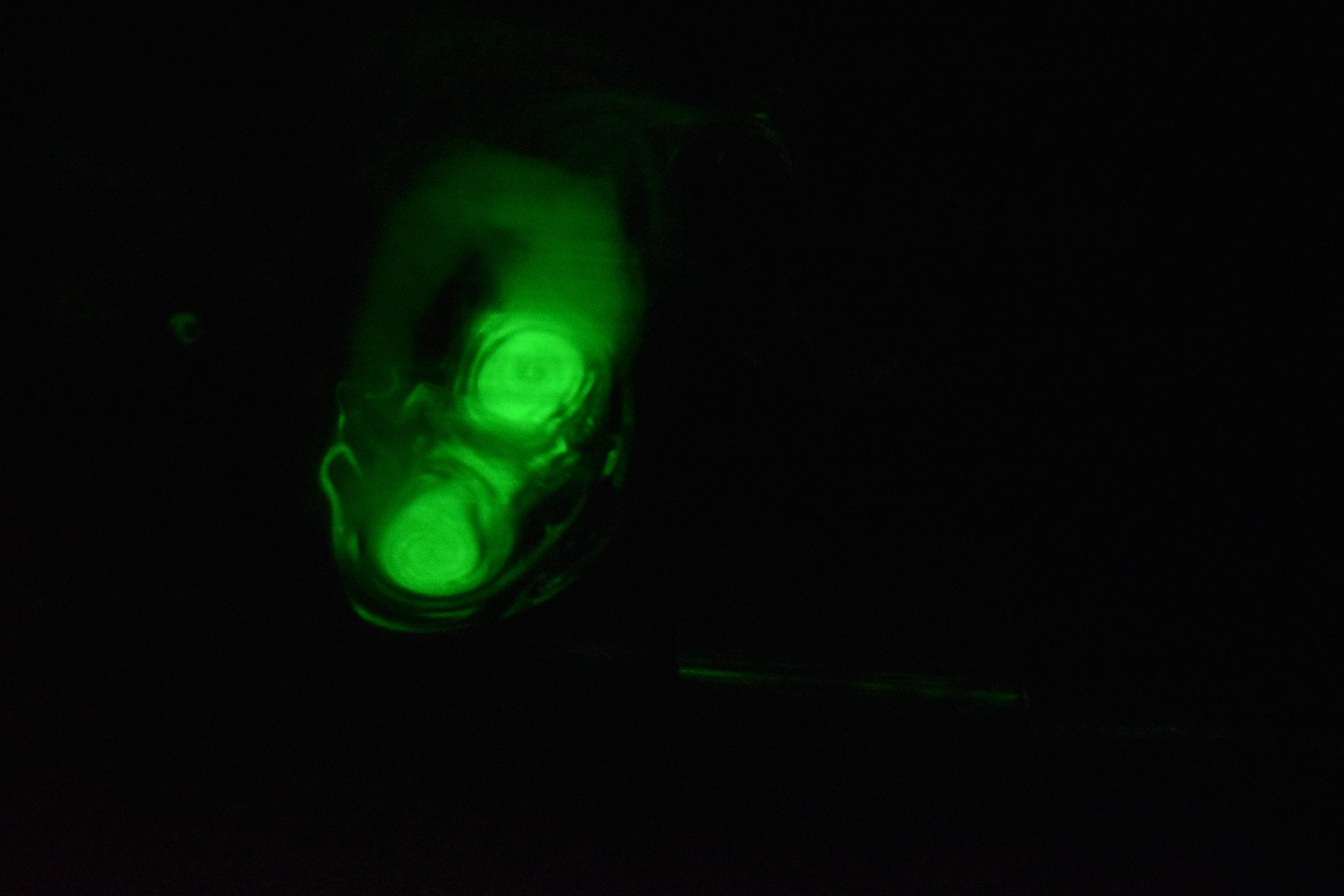 Smoke Rings 2D Visulaization